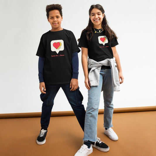 Love is... love - Youth classic tee